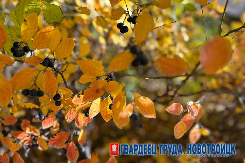 Днём 24 октября в Оренбуржье тепло, без осадков, температура до +13 градусов