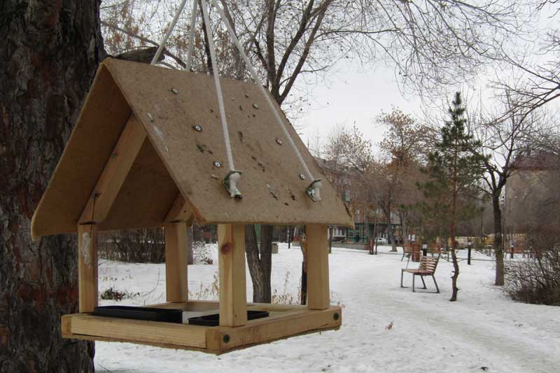  Днем 24 декабря в Оренбуржье ожидается снег и мороз от -9 до -19 градусов