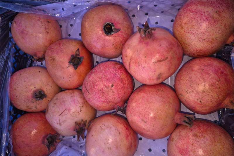 В Оренбуржье пытались ввезти более 38 тонн зараженных гранатов из Узбекистана