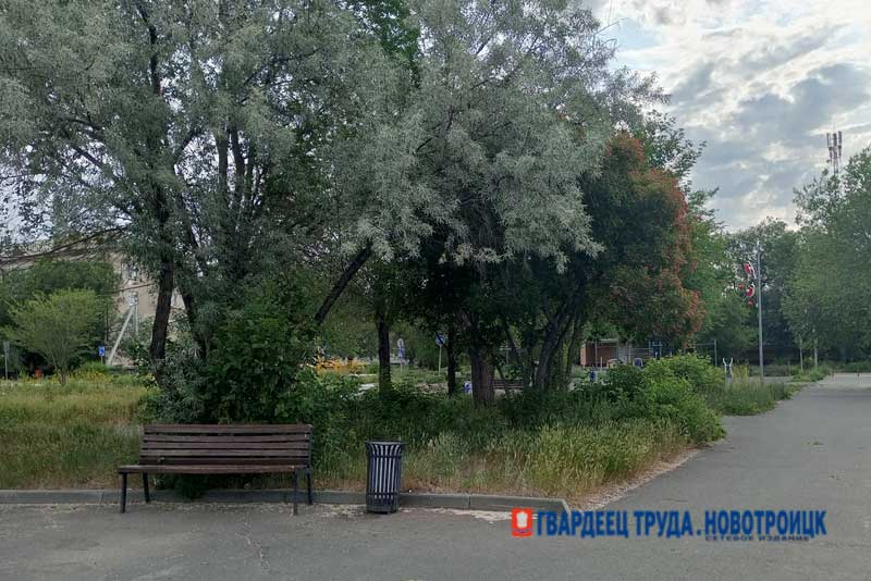 Днем 26 июня в Оренбуржье ожидается дождь, гроза и до +26 градусов