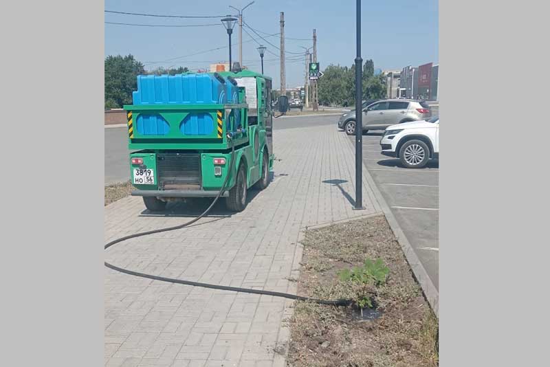 Сделать город ухоженным и зелёным