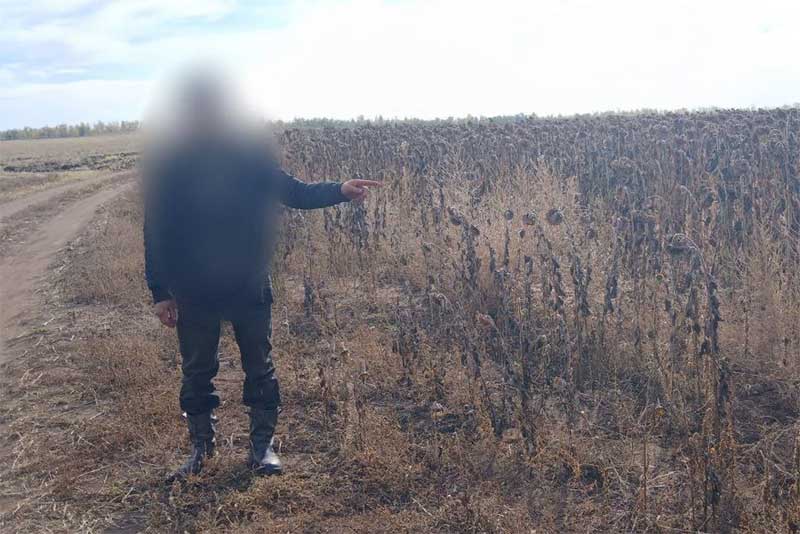 В Оренбуржье задержали браконьера, застрелившего оленя