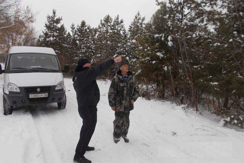 В канун Нового года в Оренбуржье проходит  операция «Ёлочка», направленная на защиту хвойных деревьев от незаконных вырубок