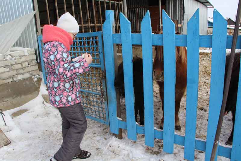 Конь Алмаз подарил детям праздник