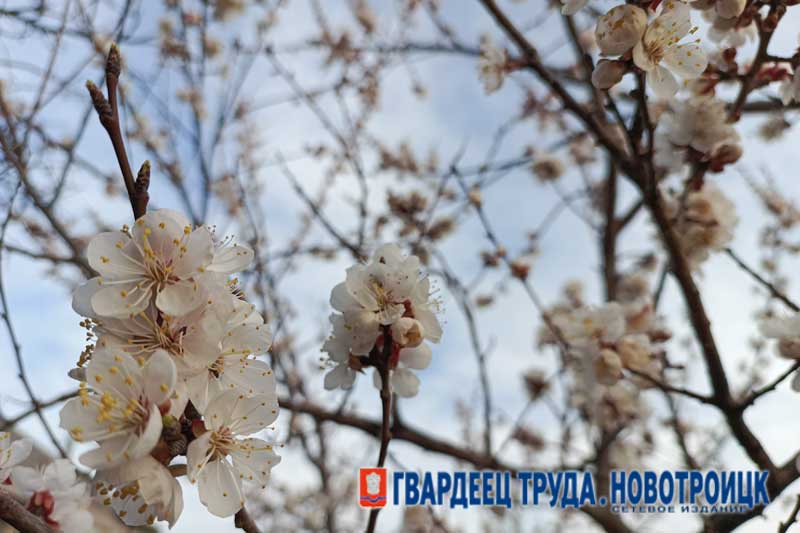  В Оренбуржье днем 27 апреля ветрено, но теплее, ожидается до +19 градусов