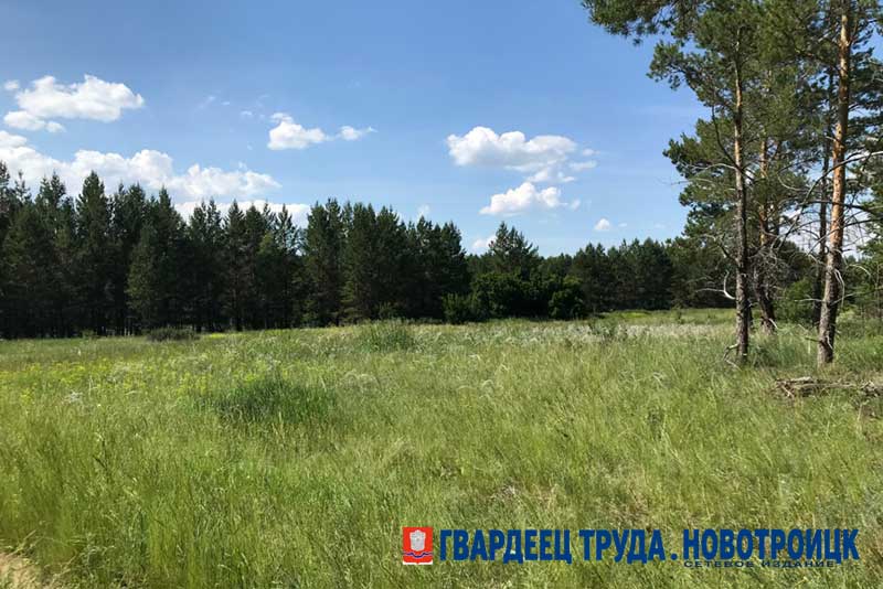 В Оренбуржье днем 27 августа ожидается дождь и до +27 градусов