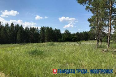 В Оренбуржье днем 27 августа ожидается дождь и до +27 градусов