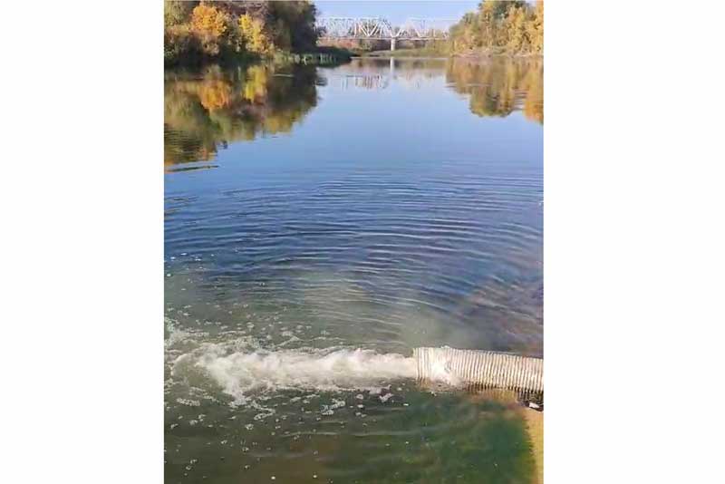 Уральская Сталь продолжает зарыблять водоемы Оренбуржья