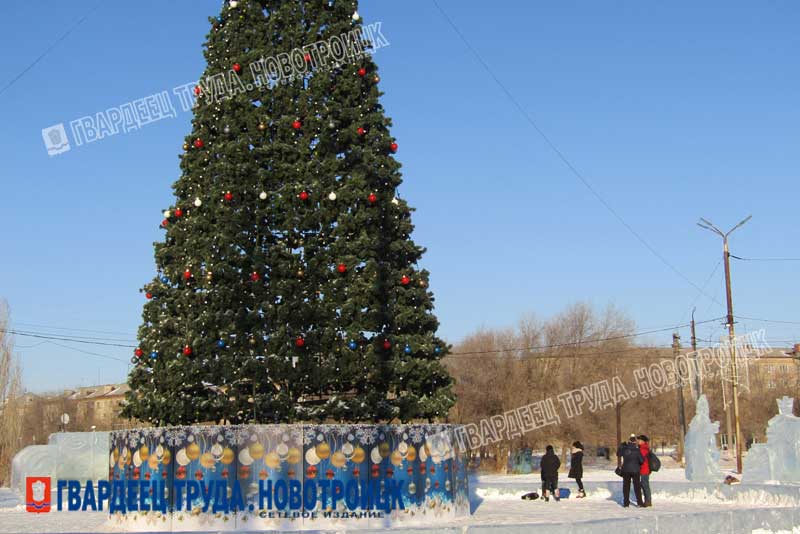 Стало известно, сколько елок установят в Новотроицке и где