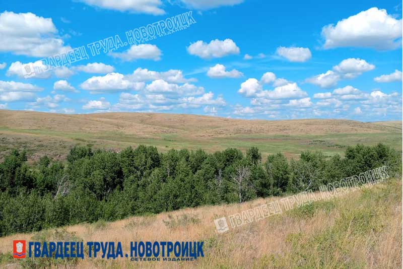 В Оренбуржье пришла жара