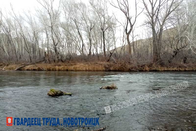 Дождь, туман и +6 градусов ожидается 28 октября в Оренбуржье 