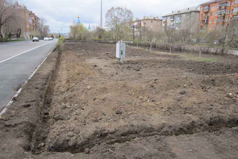 В сквере у монумента «Вечно живым» появятся голубые ели (фото)