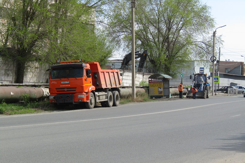 В Новотроицке проводят компенсационную высадку зеленых насаждений