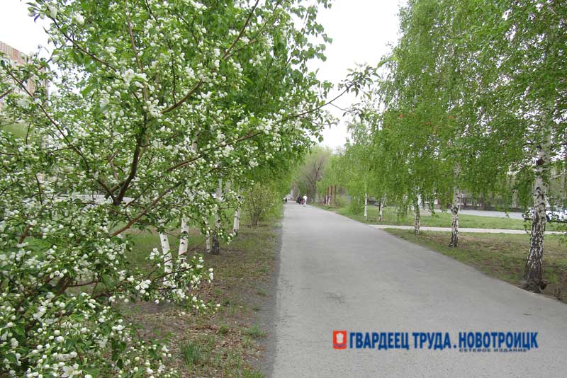 В среду в Оренбуржье вернётся тепло