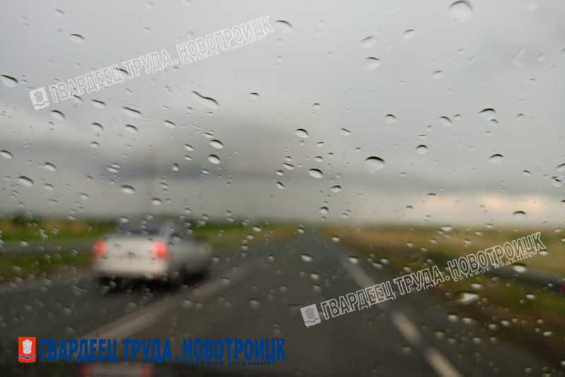 Днем 29 октября в Оренбуржье будет дождливо