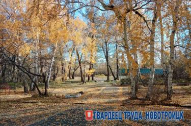 В Оренбуржье днем 29 октября сохранится комфортная погода, воздух прогреется до +17 градусов
