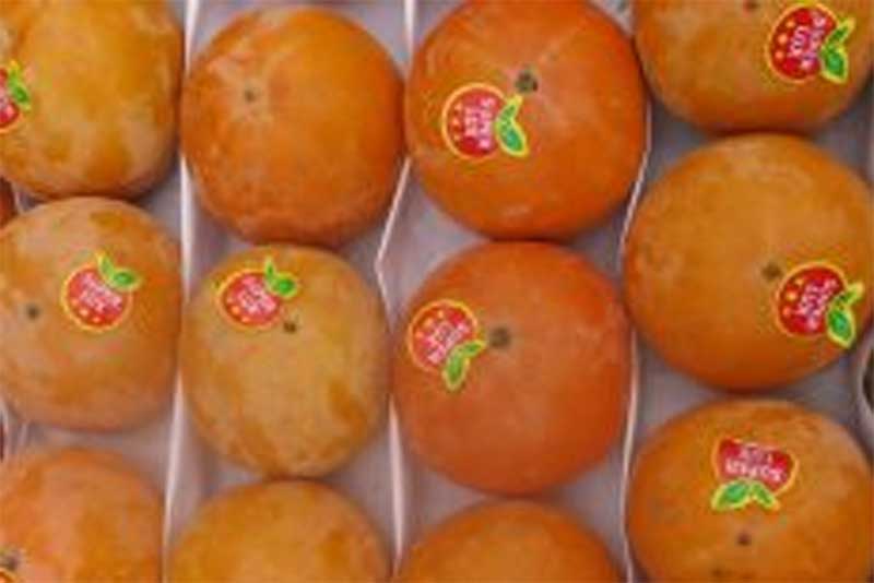 В Оренбуржье предотвратили  ввоз заражённой хурмы из Узбекистана