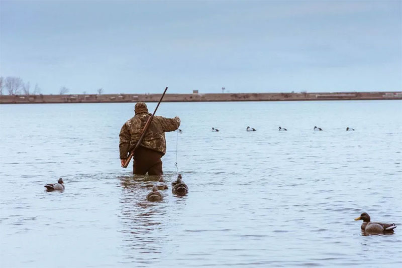 В Оренбуржье в апреле начинается сезон весенней охоты