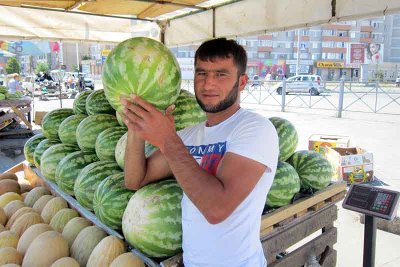 Полосатые и желтые: сезон бахчевых в самом разгаре