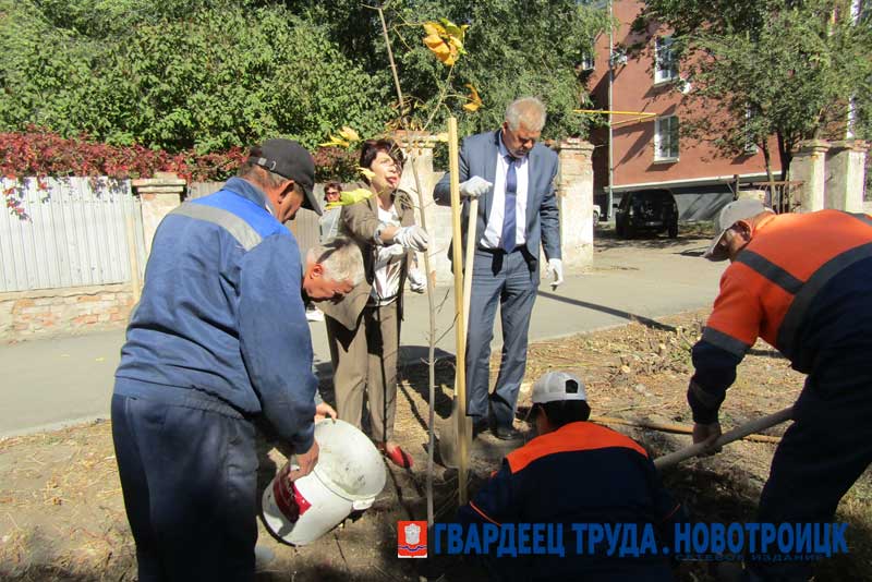 В Новотроицке Олег Папунин дал старт работе по осенней посадке саженцев зеленых насаждений
