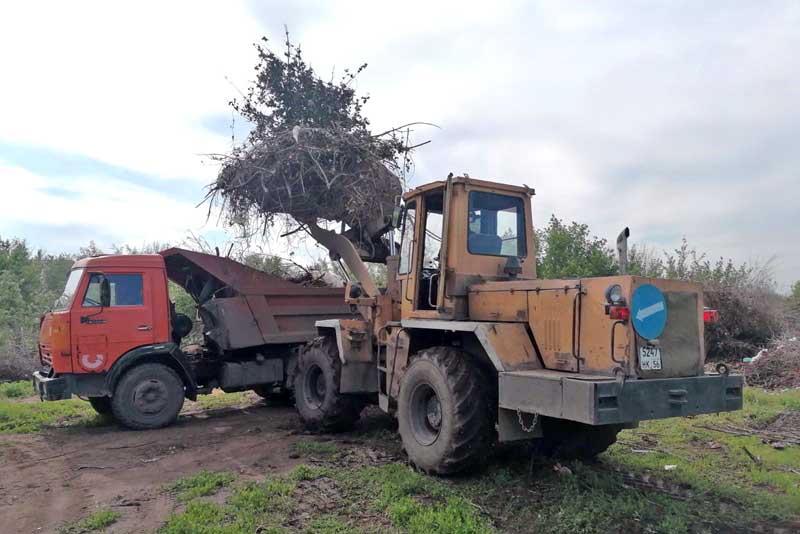 Зеленый наряд города требует каждодневного ухода