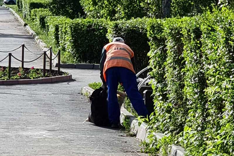 Зеленый наряд города требует каждодневного ухода