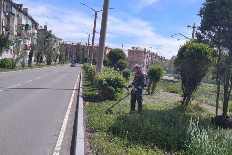 Зеленый наряд города требует каждодневного ухода